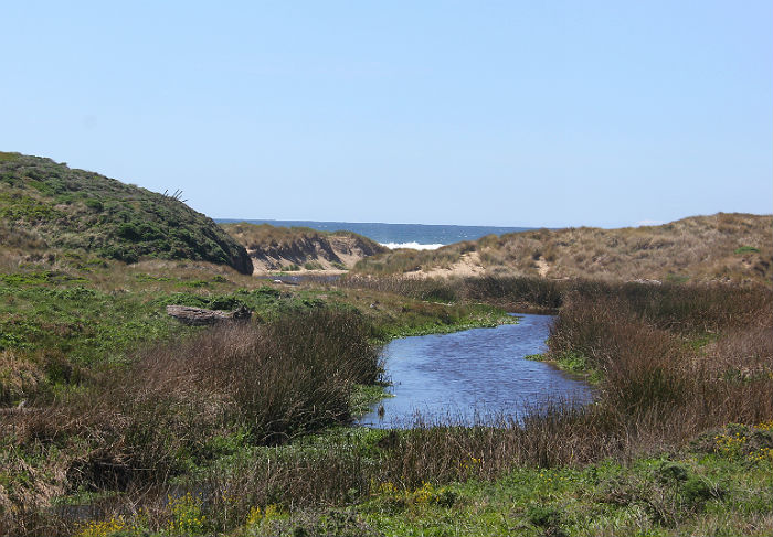 Point Reyes National Seashore